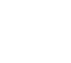 Live Rock Photo