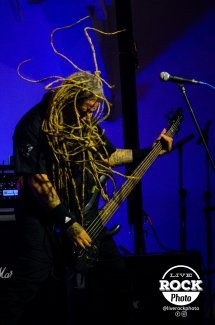 Project 46 - Live Rock Photo