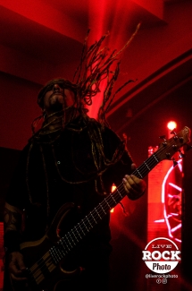 Project 46 - Live Rock Photo
