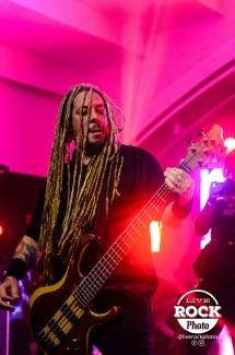 Project 46 - Live Rock Photo